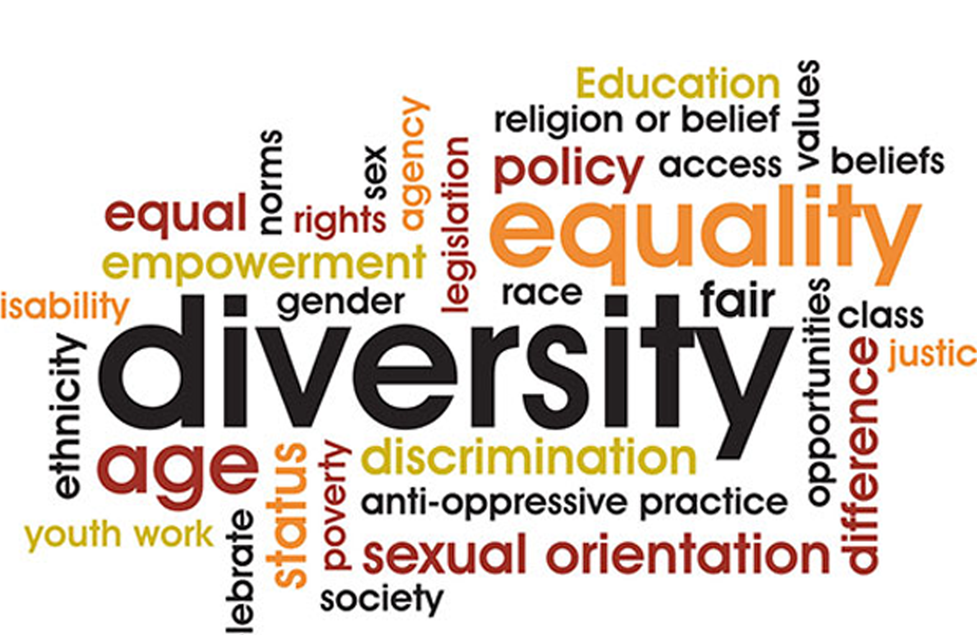 case study what does diversity mean in a global organization