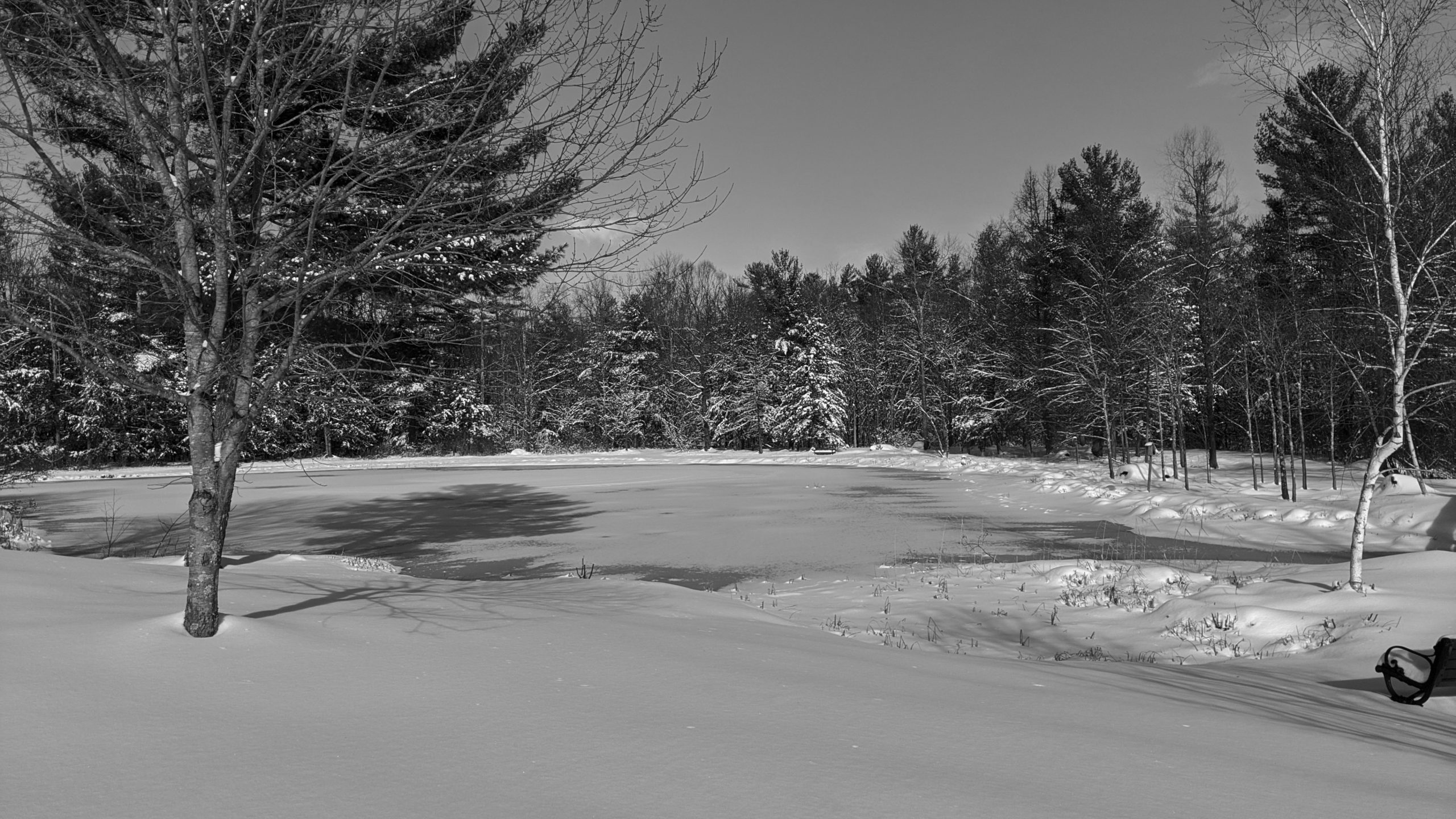 Pond in Winter at our Senior Living Community