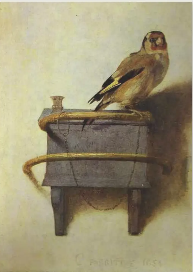 Fabritius’s Goldfinch