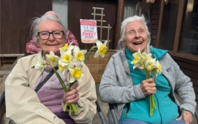 daffodills-friends daffodills-friends